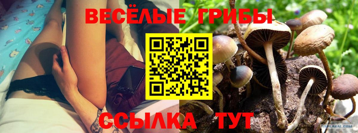 Псилоцибиновые грибы ЛСД  где можно купить   Кисловодск  Вход с VPN 